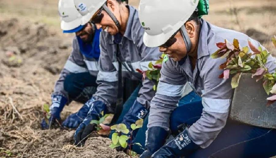 A Suzano,abre vagas para a regão 