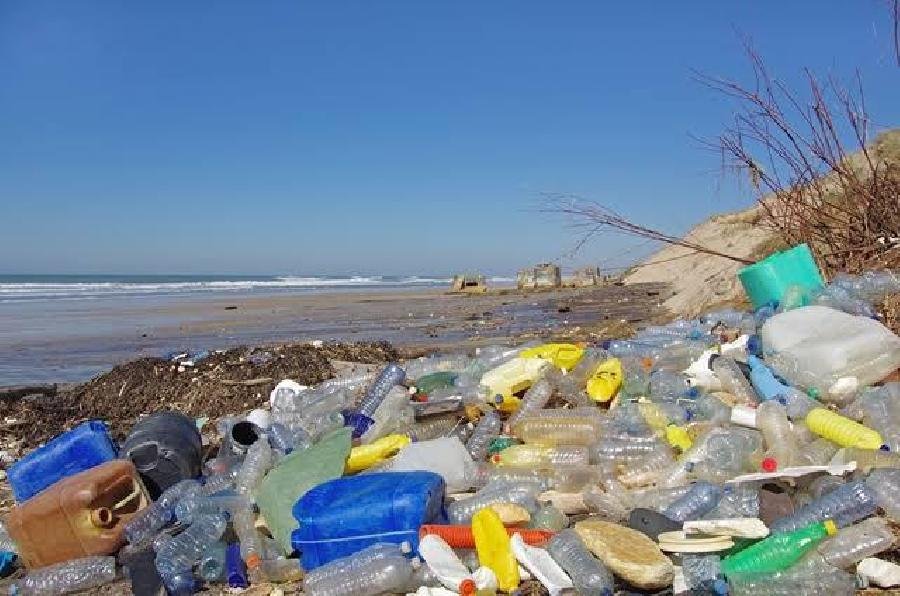 Lixo plástico nas praias do sul da Bahia: ameaça ambiental que cruza fronteiras