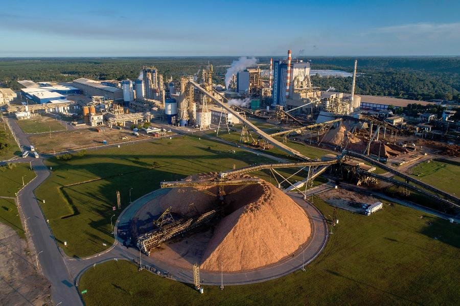 Sysflor Certificações Florestais é a nova certificadora do manejo florestal da Suzano na Bahia